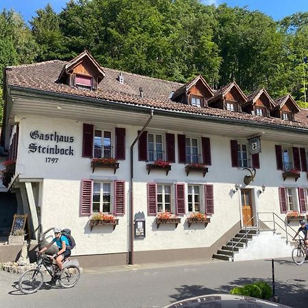 Historic Hotel Steinbock Wilderswil Exterior photo