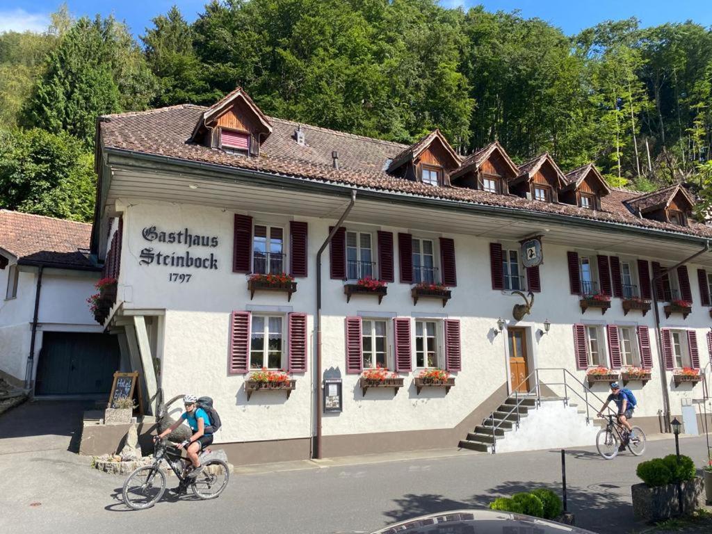 Historic Hotel Steinbock Wilderswil Exterior photo